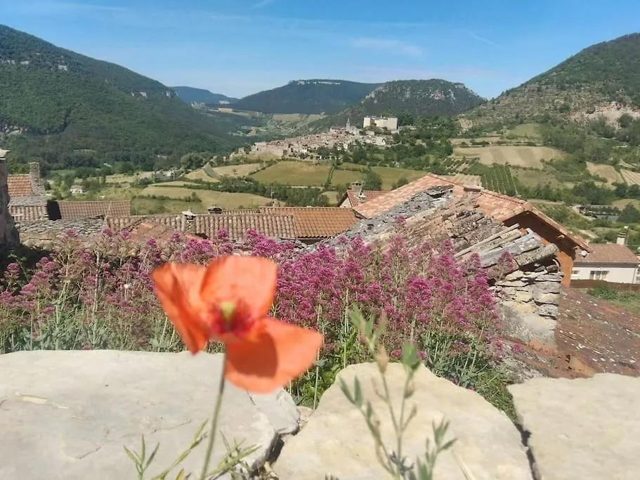 Gite De La Louverie Mostuéjouls Villa